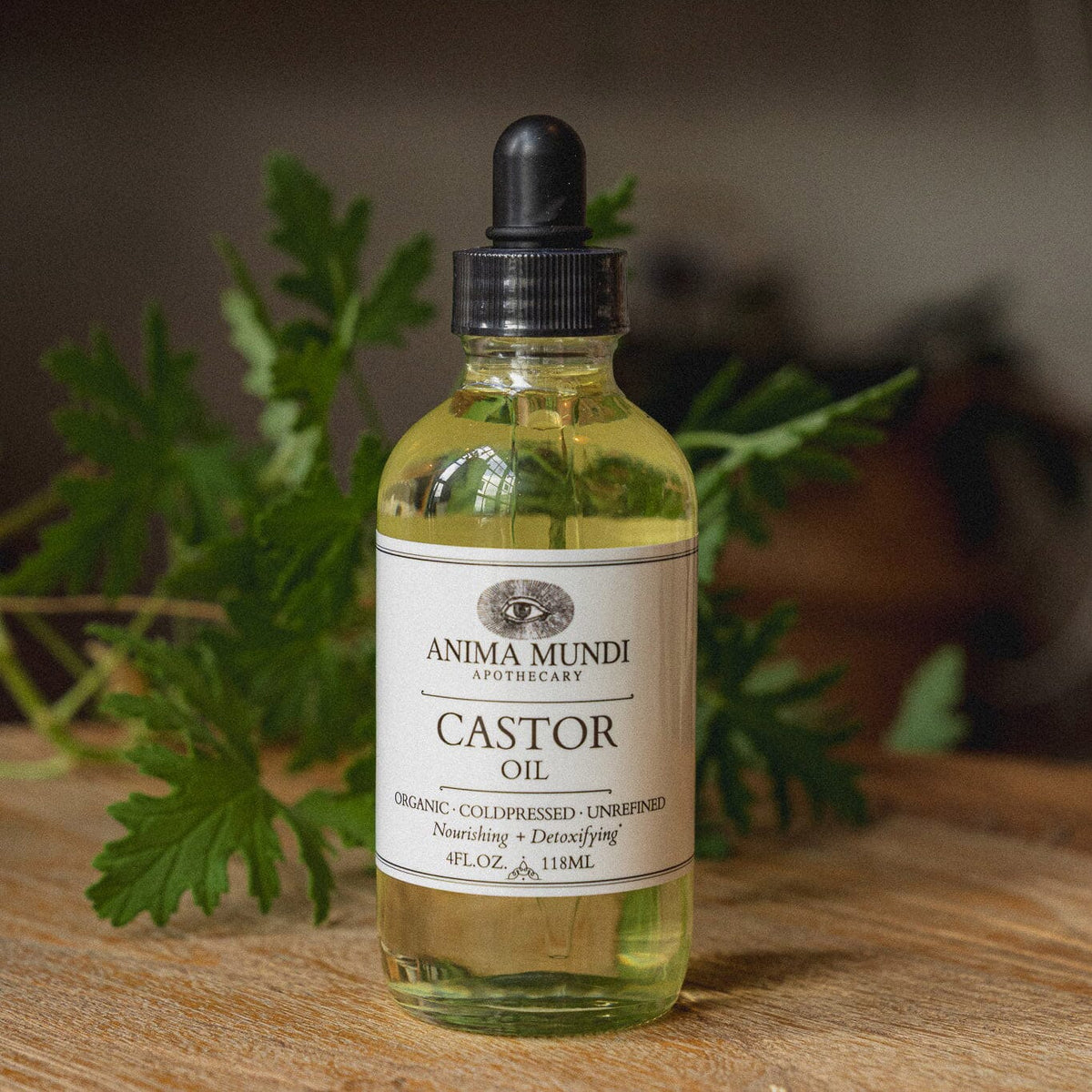 CASTOR OIL | Organic, Coldpressed, Unrefined Körperöl Anima Mundi Apothecary - Genuine Selection