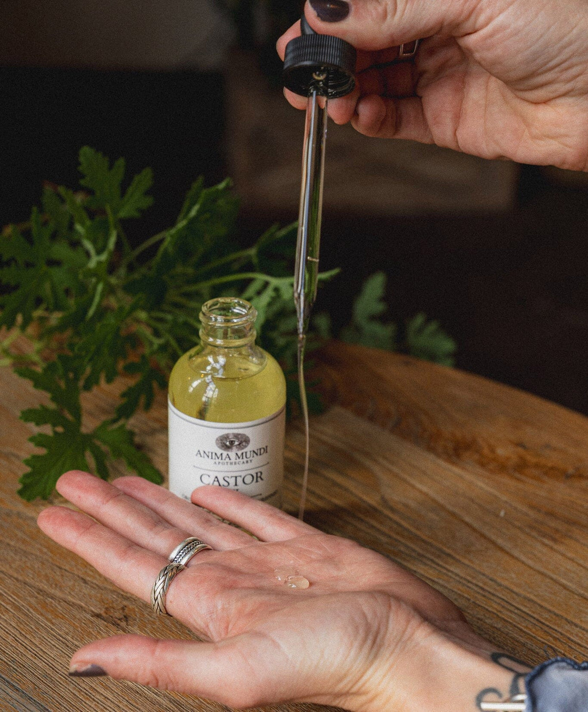CASTOR OIL | Organic, Coldpressed, Unrefined Körperöl Anima Mundi Apothecary - Genuine Selection