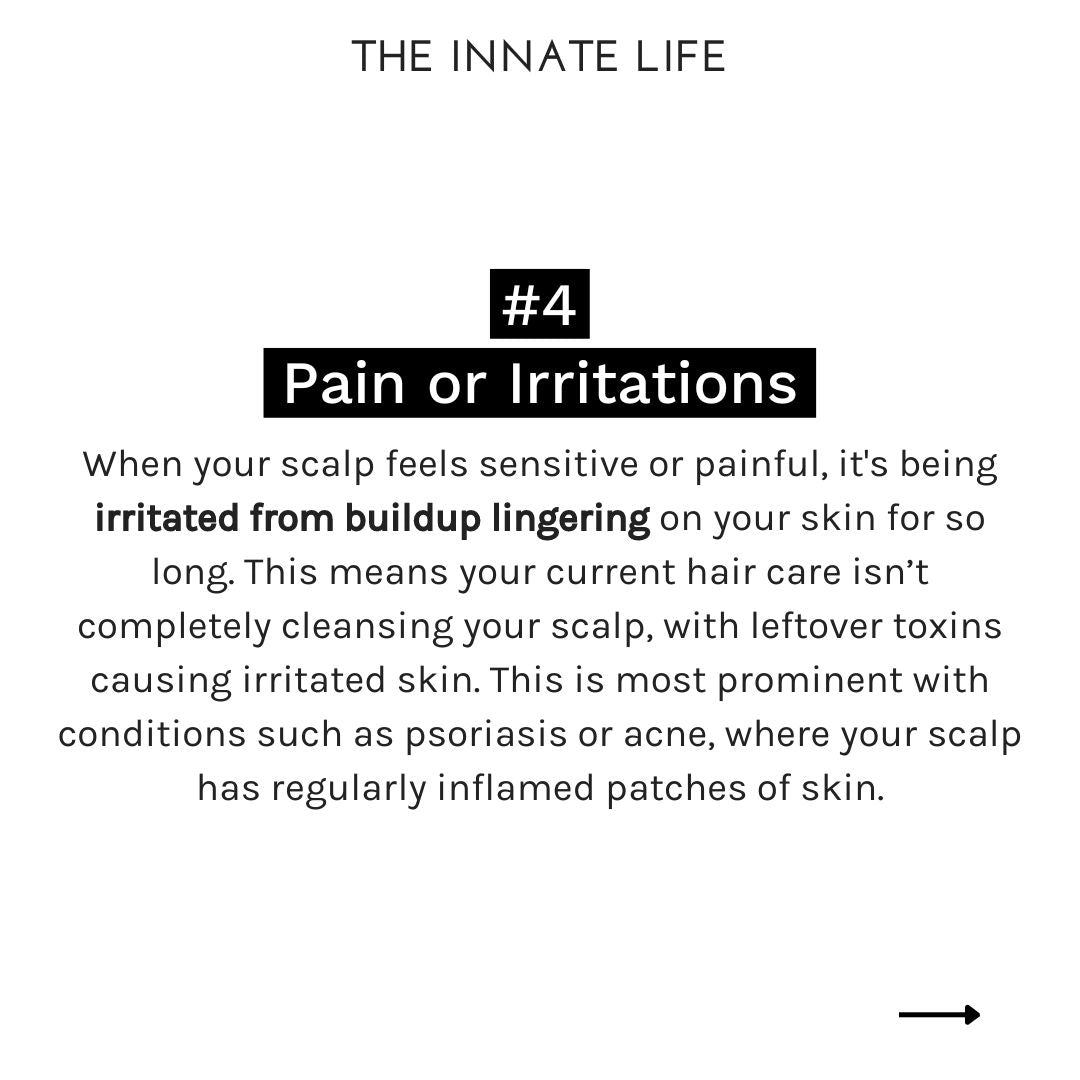 Charcoal Scalp Detox Kopfhautpflege The Innate Life - Genuine Selection