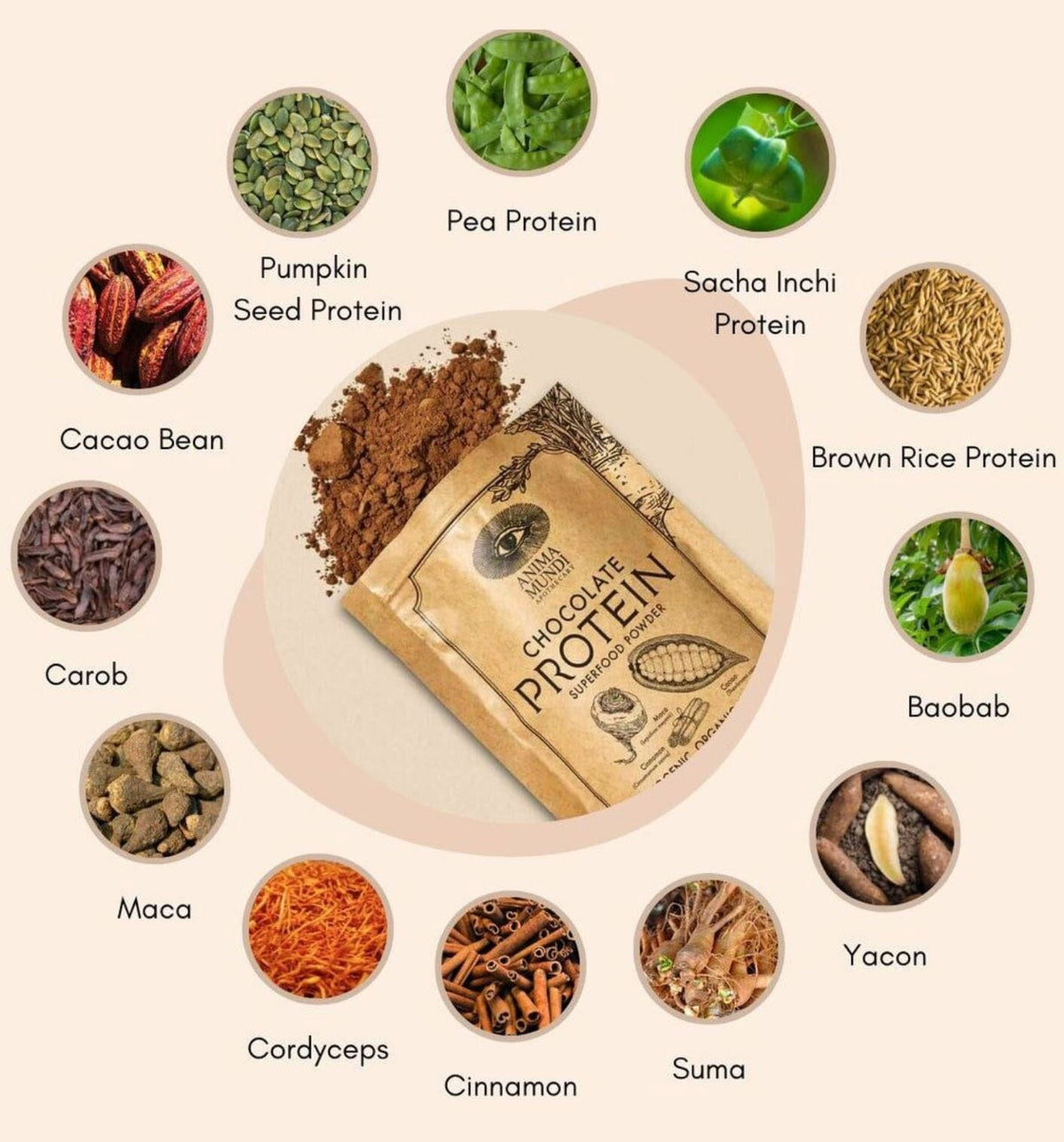 CHOCOLATE PROTEIN | Superfood Powder Anima Mundi Apothecary - Genuine Selection