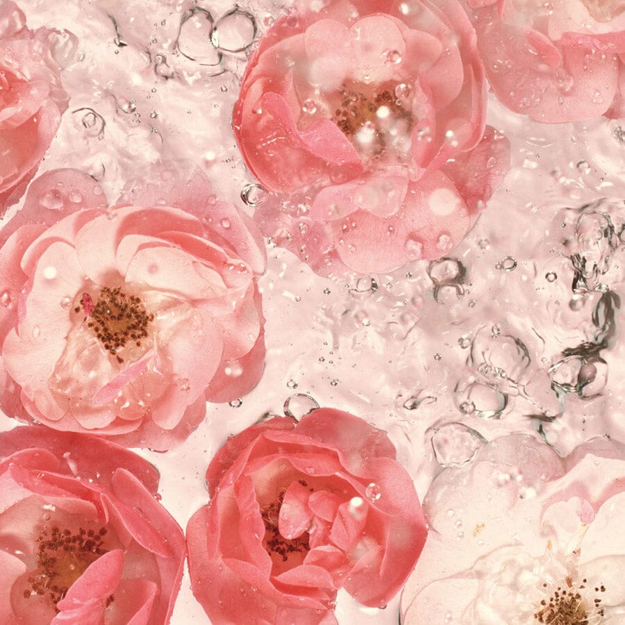 Essential Hydrating Tonic - Rose Toner Kari Gran - Genuine Selection