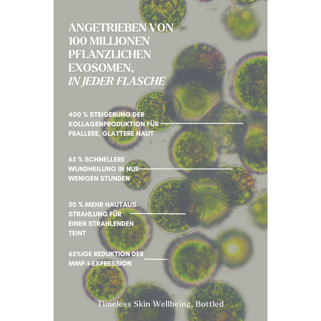 EXOSOMES | Exo Timeless ReGen Serum Serum Naya - Genuine Selection