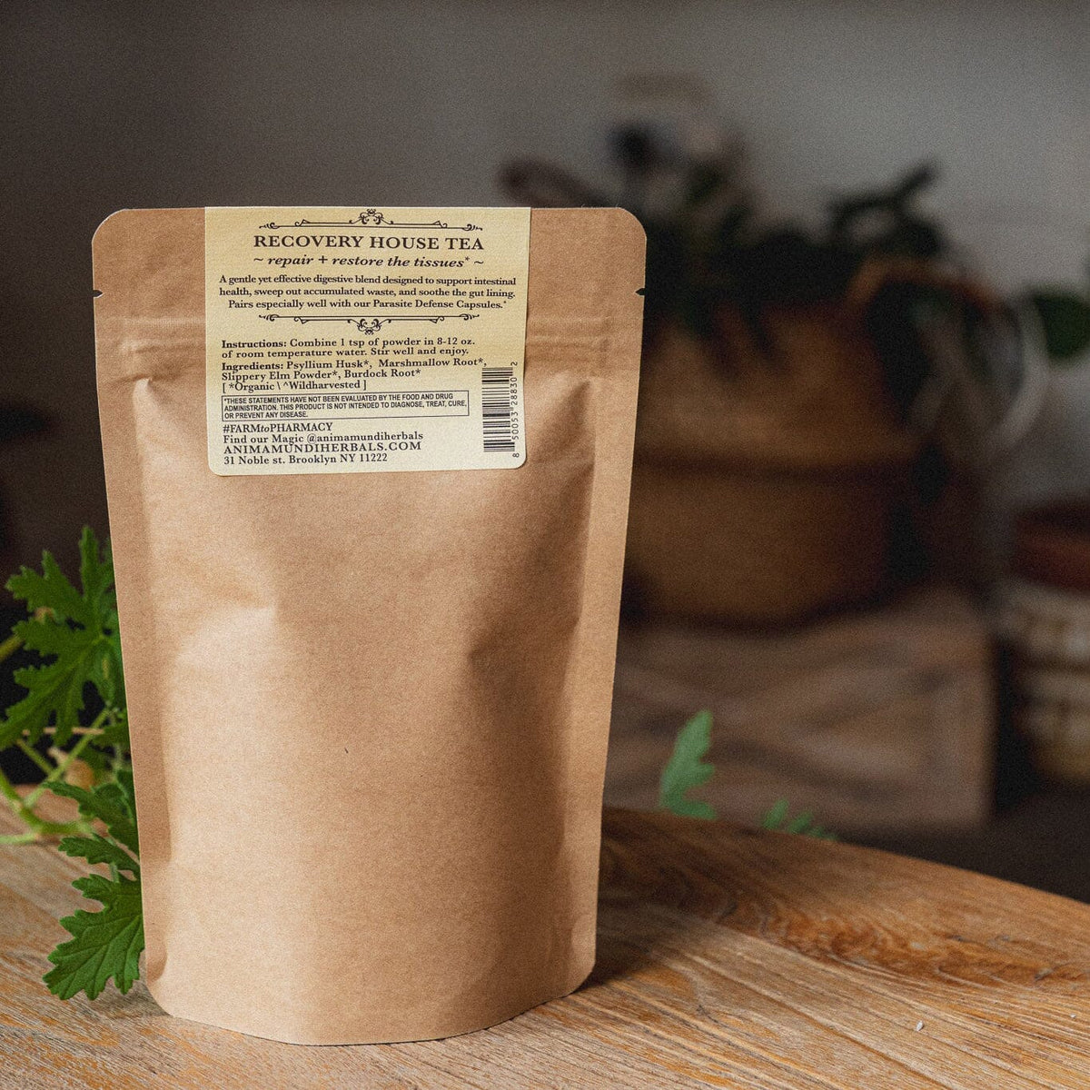GUT SWEEP | Intestinal Love, Parasite Support Tea Anima Mundi Apothecary - Genuine Selection