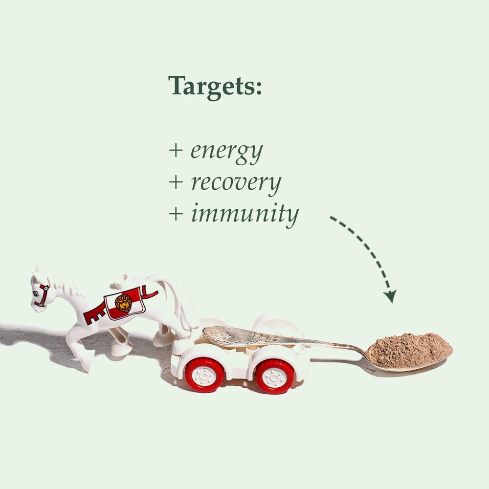 Organic Booster - Immunity, Energy & Recovery Nahrungsergänzungsmittel Soulel - Genuine Selection