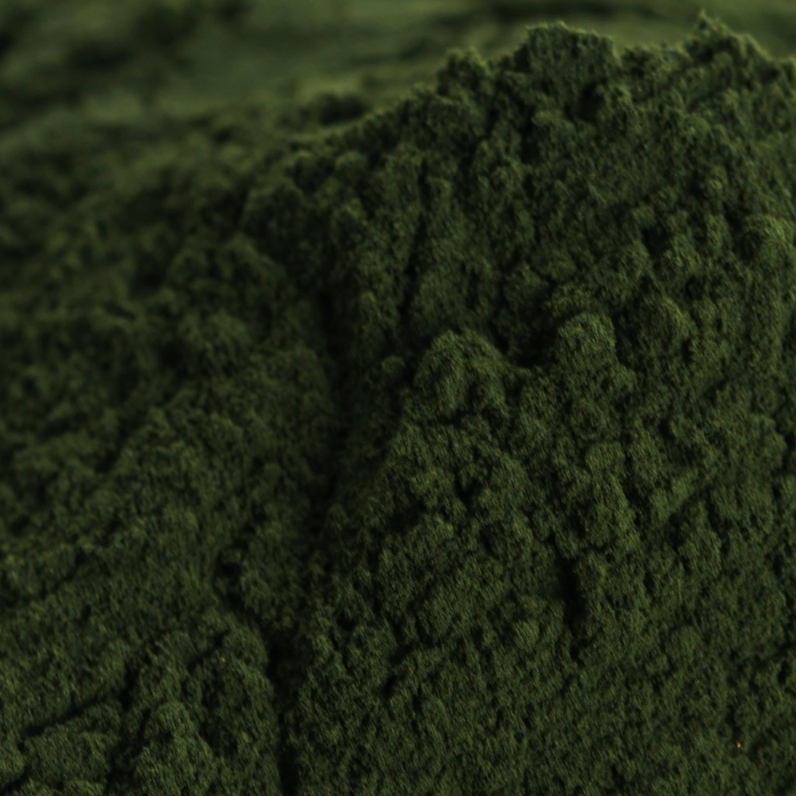 Organic Chlorella Powder | Bulk Bag Nahrungsergänzungsmittel Anima Mundi Apothecary - Genuine Selection