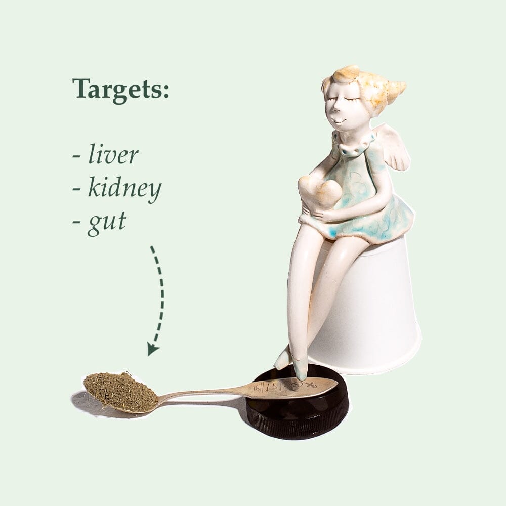 Organic Detox - Liver & Kidney Support Nahrungsergänzungsmittel Soulel - Genuine Selection