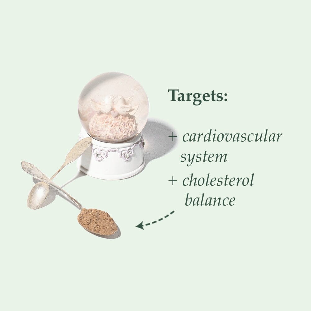 Organic Heart - Cardiovascular & Cholesterol Balance Nahrungsergänzungsmittel Soulel - Genuine Selection