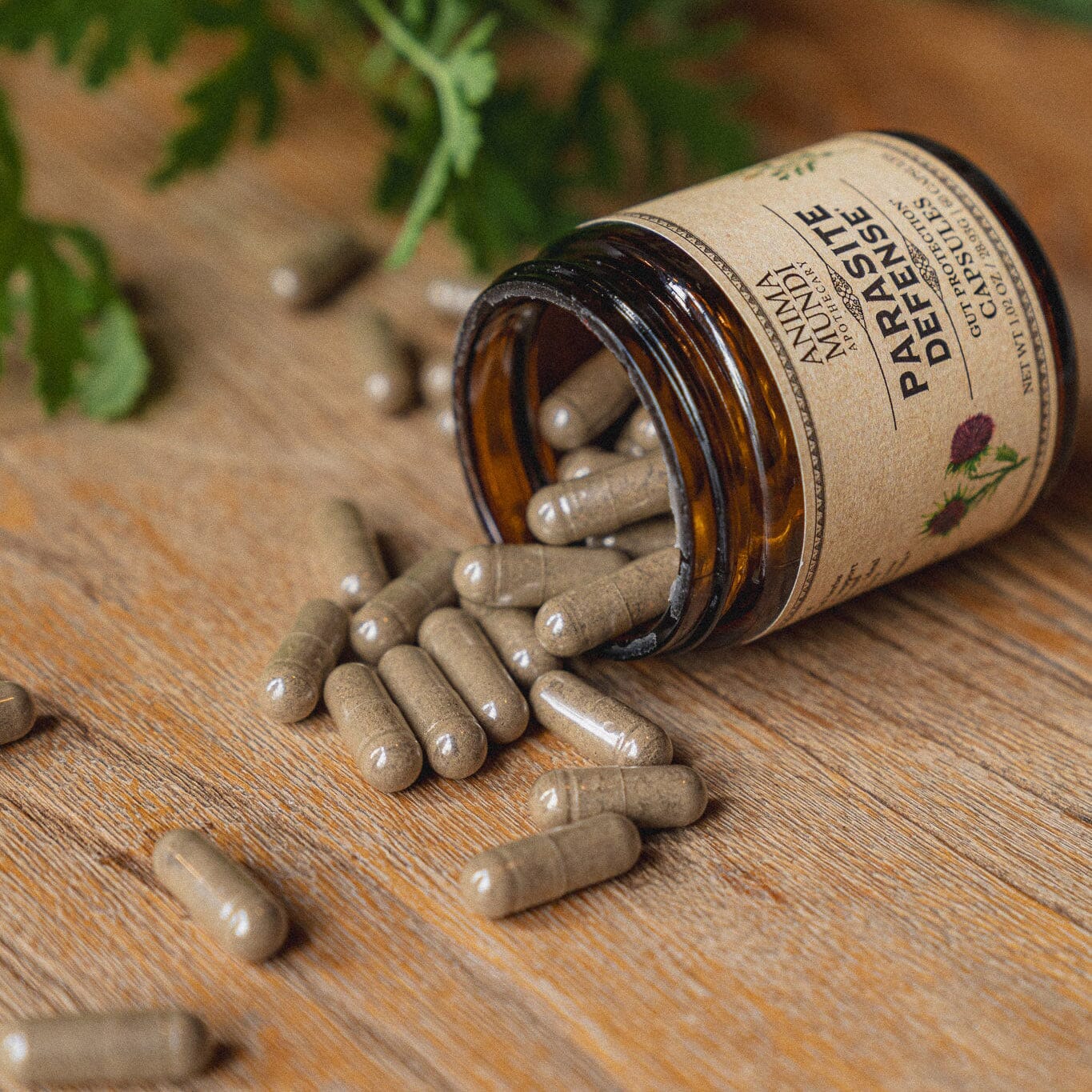 PARASITE DEFENSE | Gut Protection* Capsules Anima Mundi Apothecary - Genuine Selection