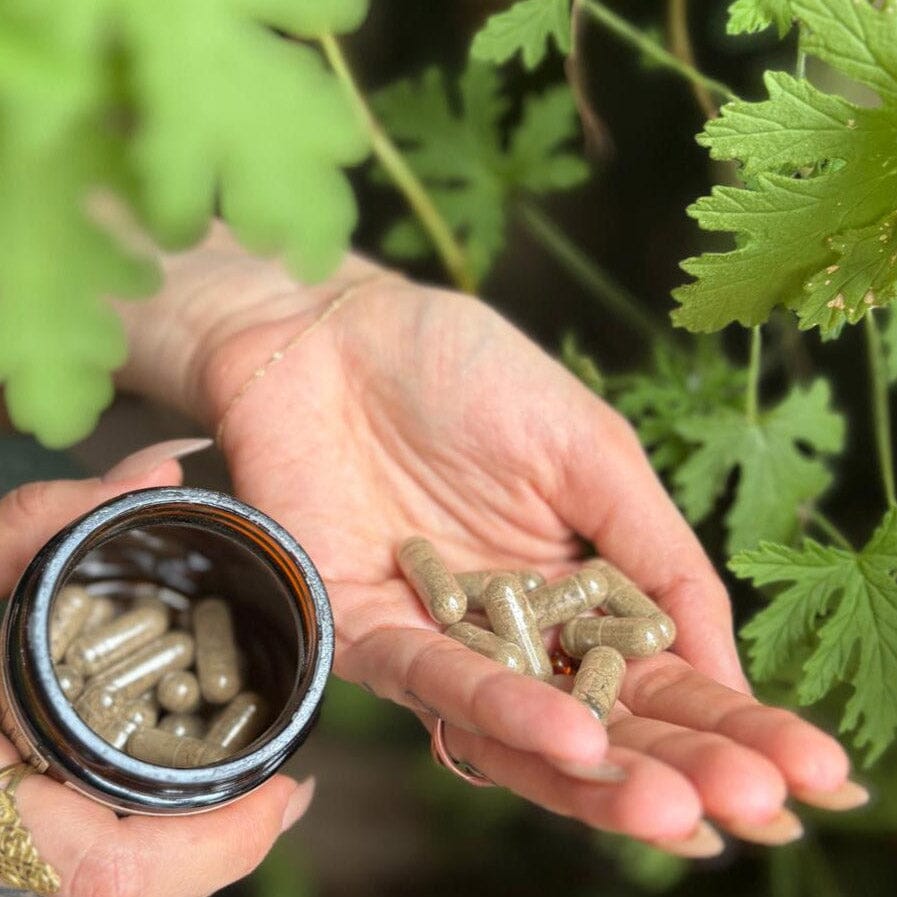 PARASITE DEFENSE | Gut Protection* Capsules Anima Mundi Apothecary - Genuine Selection