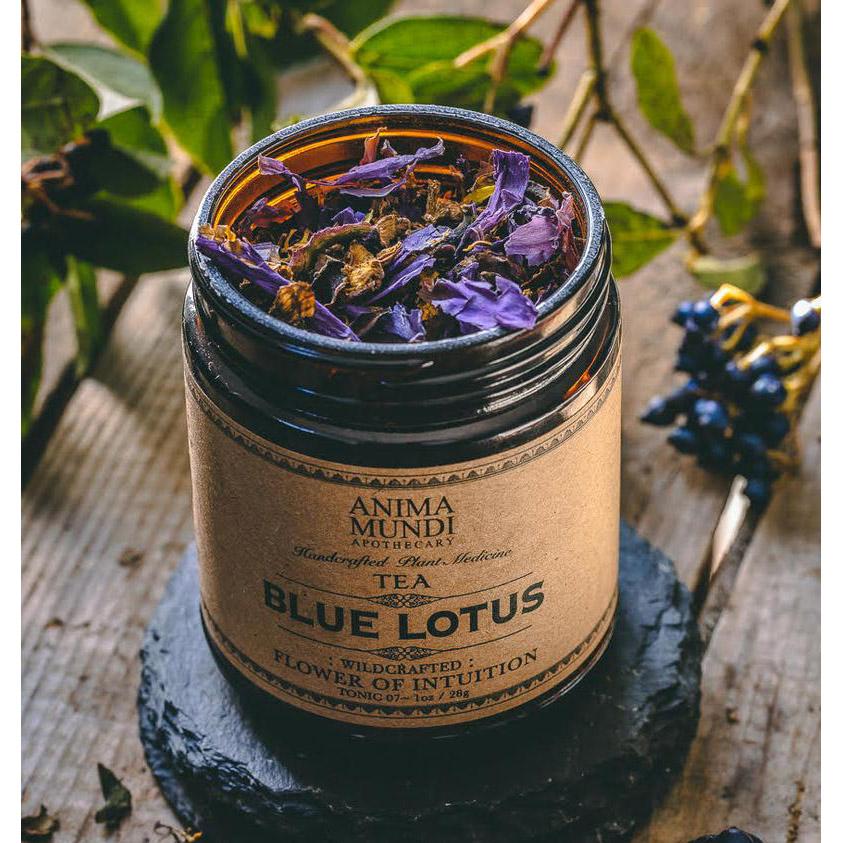 BLUE LOTUS / Flower of Intuition Tea Tee Anima Mundi Apothecary - Genuine Selection
