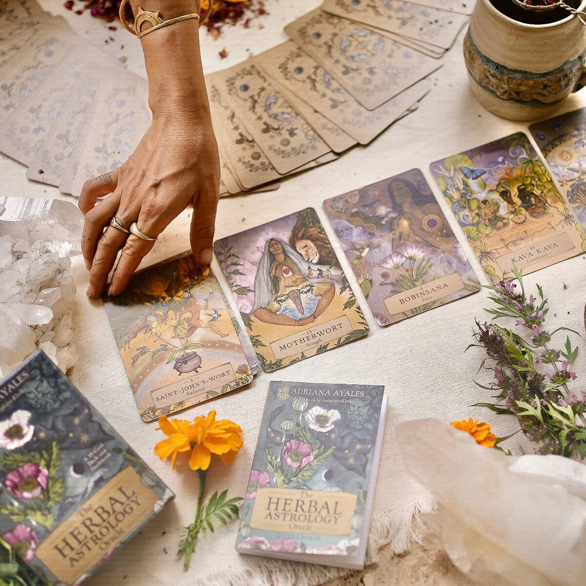 Herbal Astrology Oracle Anima Mundi Apothecary - Genuine Selection