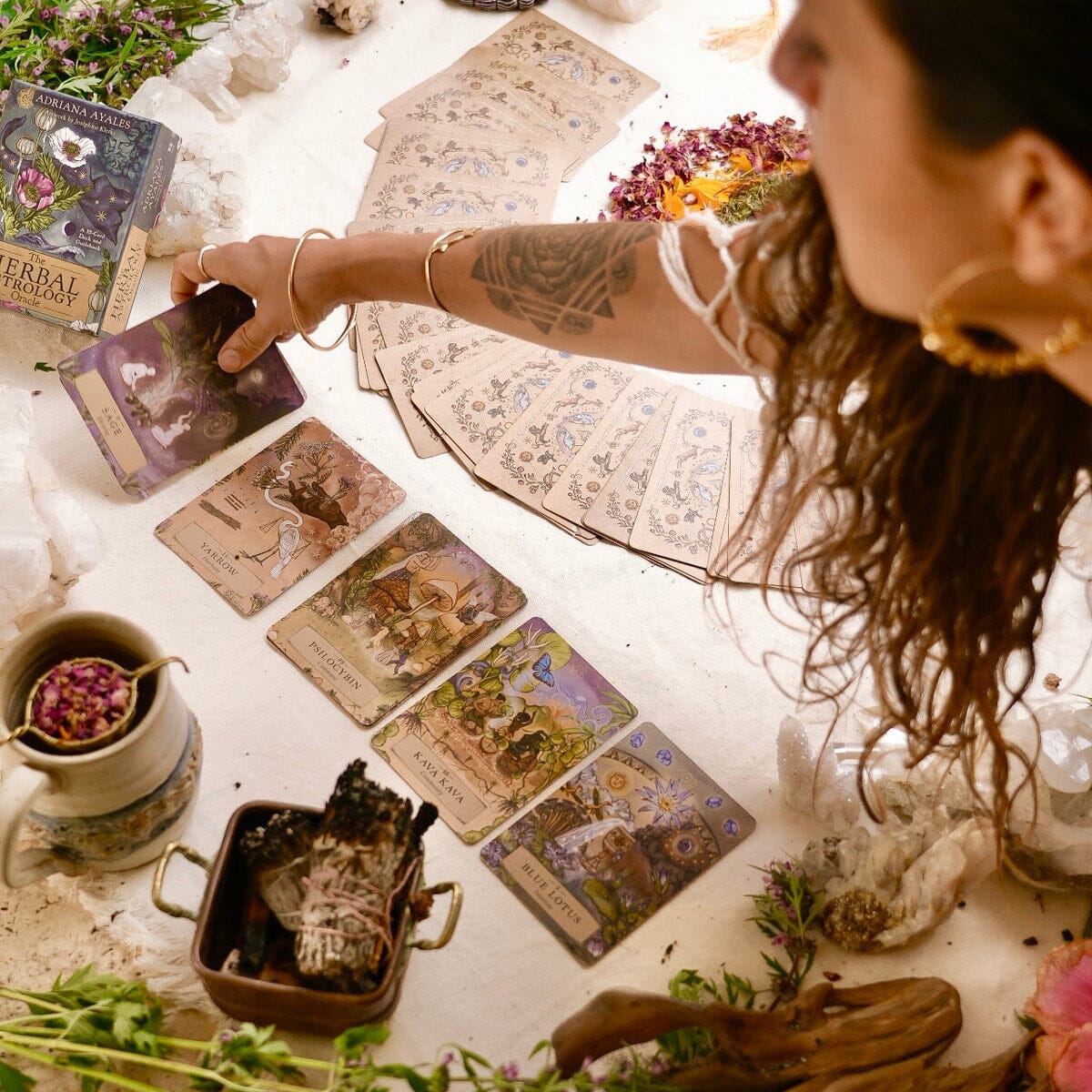 Herbal Astrology Oracle Anima Mundi Apothecary - Genuine Selection