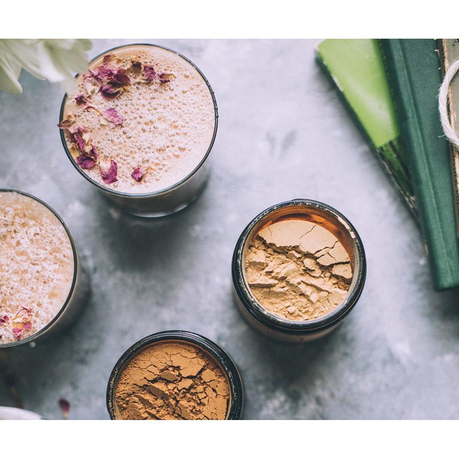 LIONS MANE : Brain Tuner Nahrungsergänzungsmittel Anima Mundi Apothecary - Genuine Selection