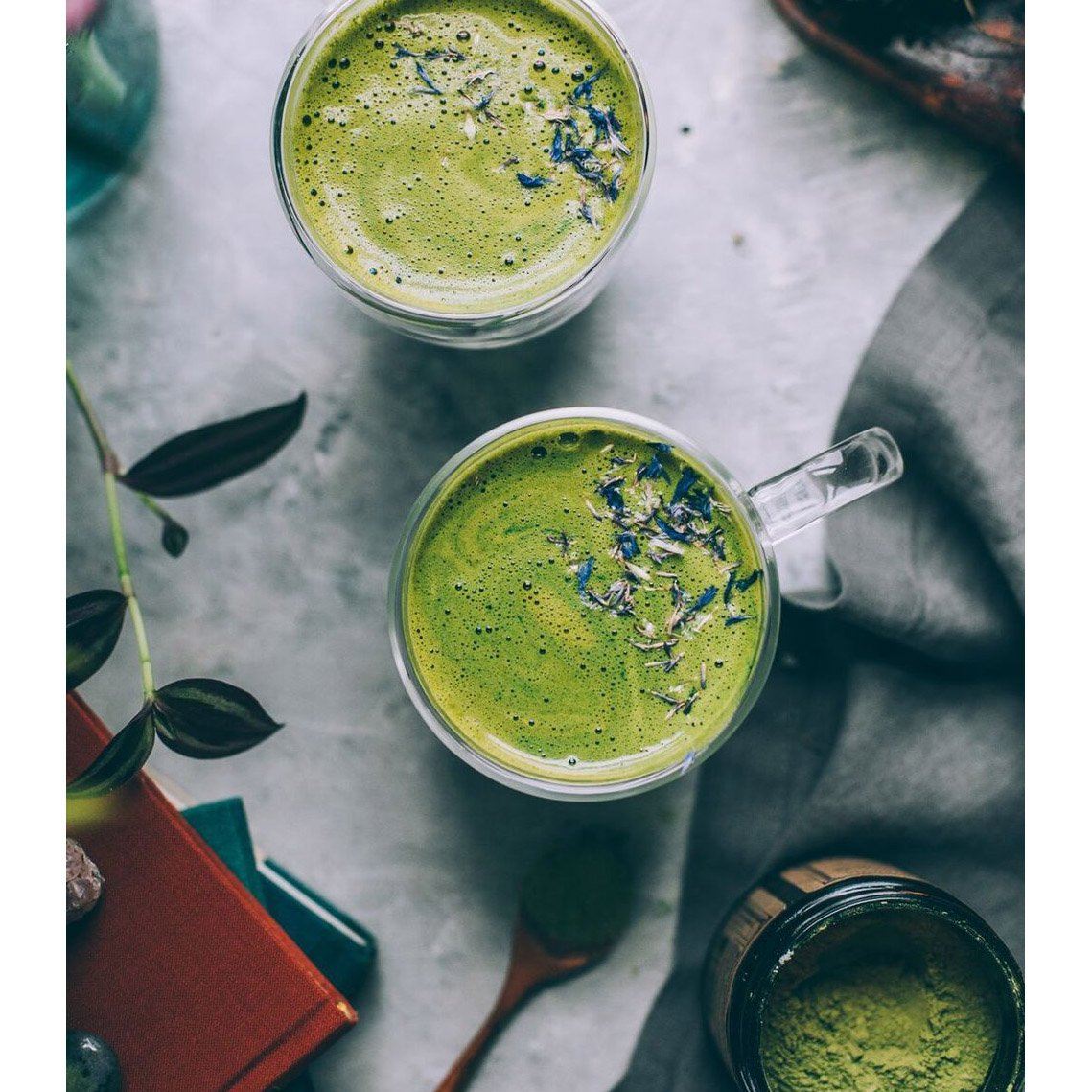 MORINGA - 100% Organic Master Mineralizer Nahrungsergänzungsmittel Anima Mundi Apothecary - Genuine Selection