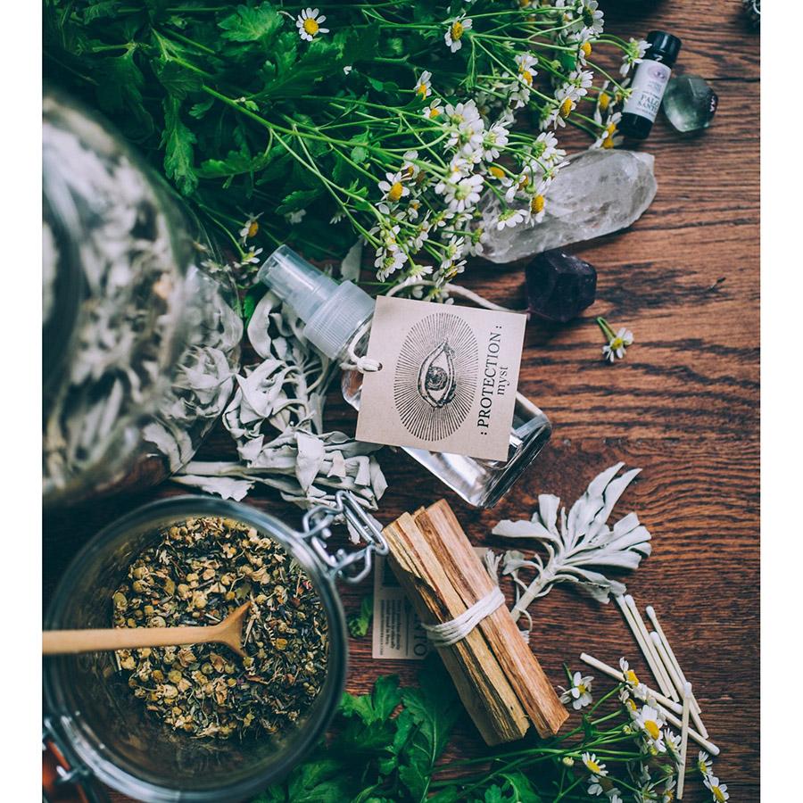 PALO SANTO Protection Myst : Wildcrafted Hydrosol Toner Anima Mundi Apothecary - Genuine Selection