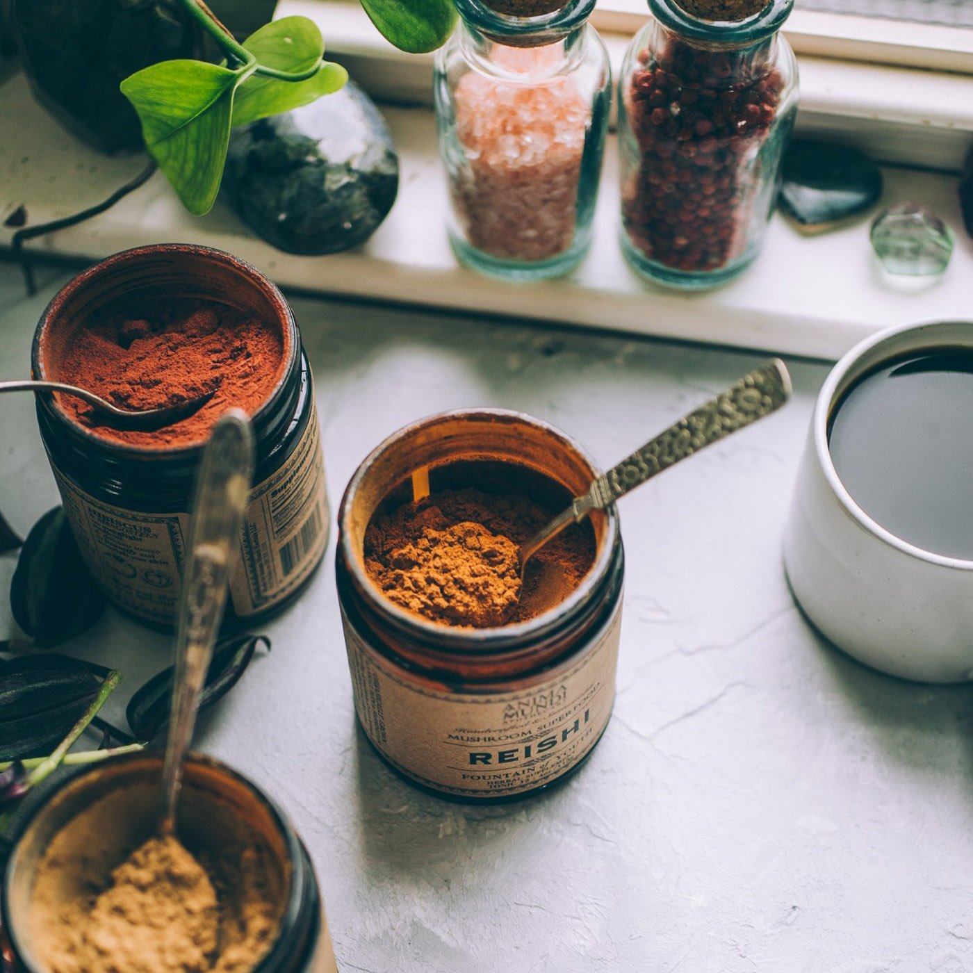 REISHI : Fountain of Youth 100% Organic Extract Powder Nahrungsergänzungsmittel Anima Mundi Apothecary - Genuine Selection