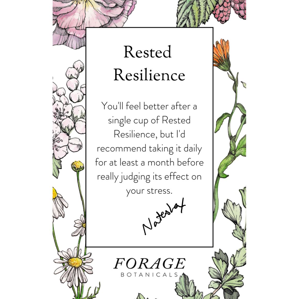 Rested Resilience - Chai Latte Blend Nahrungsergänzungsmittel Forage Botanicals - Genuine Selection