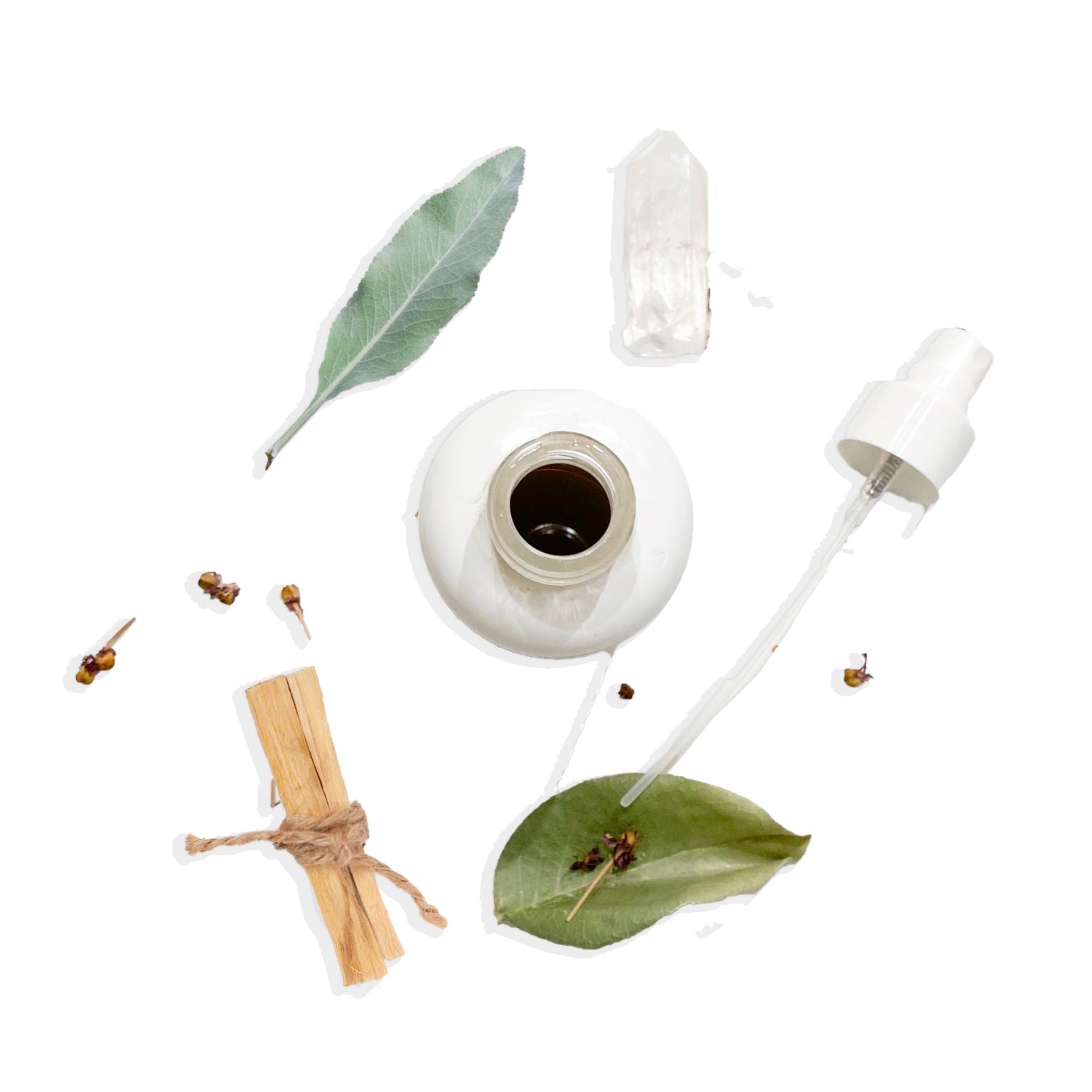 Sacred Sage Eau Micellaire - Deep Cleansing Purifying Toner Toner Cecilia Holistic Beauty - Genuine Selection