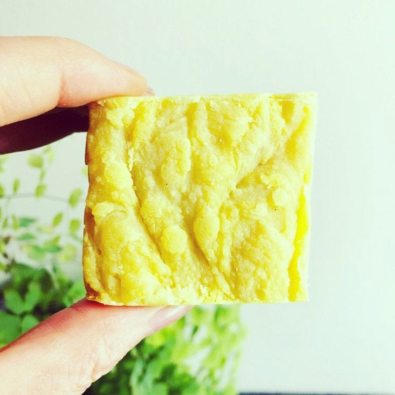 Unscented Oat Cream Shampoo & Body Wash Bar Shampoo Natural Wisdom - Genuine Selection