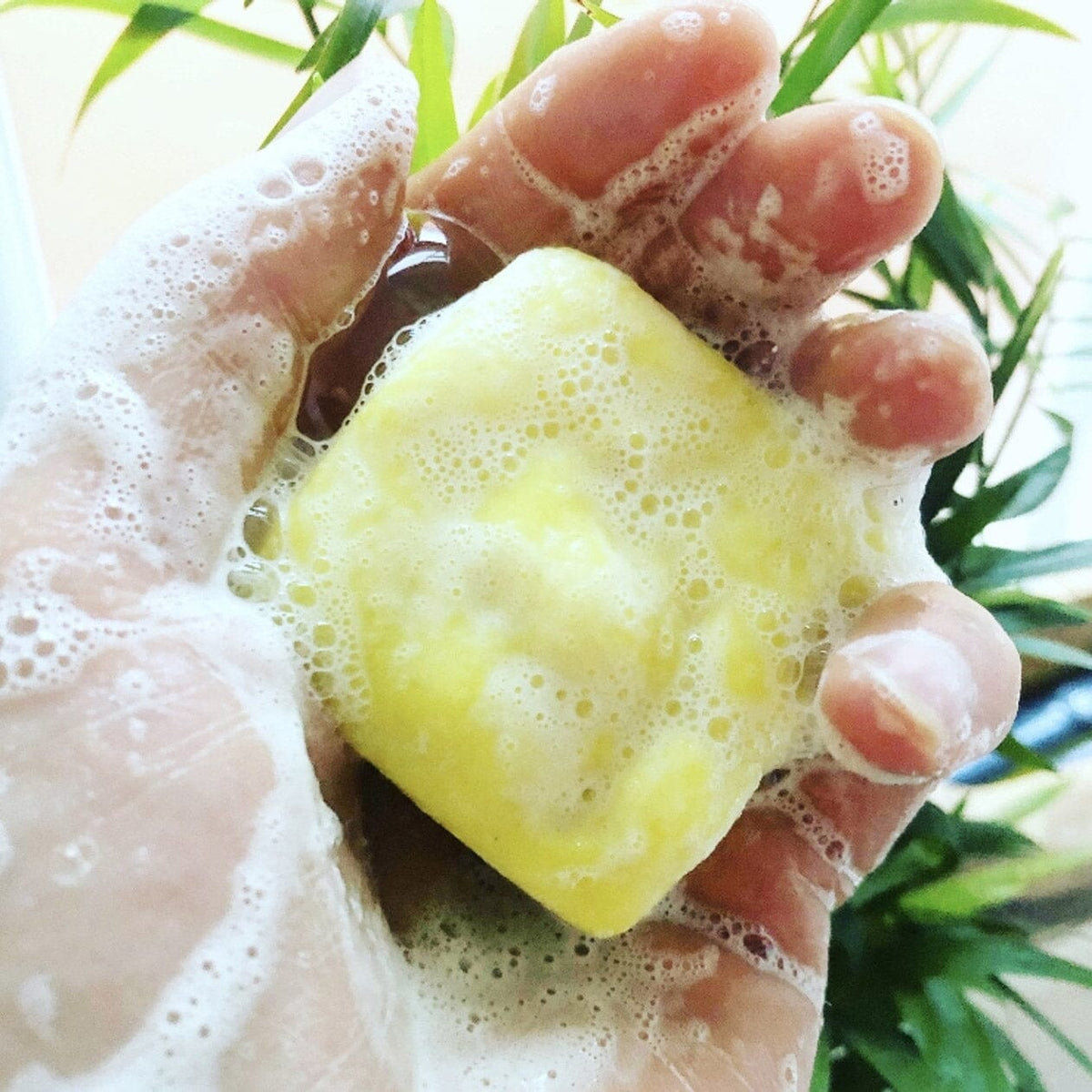 Unscented Oat Cream Shampoo &amp; Body Wash Bar Shampoo Natural Wisdom - Genuine Selection